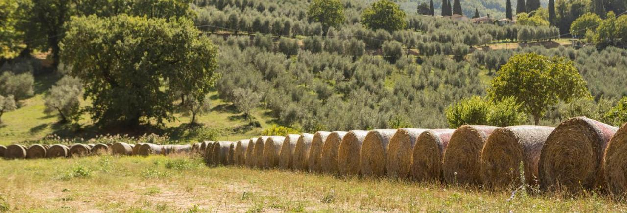 Agriturismo I Melograni Ferentillo Exteriér fotografie