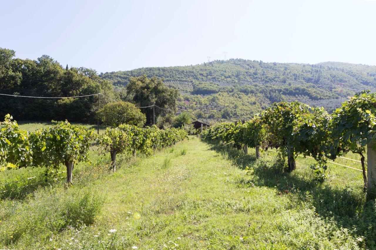 Agriturismo I Melograni Ferentillo Exteriér fotografie