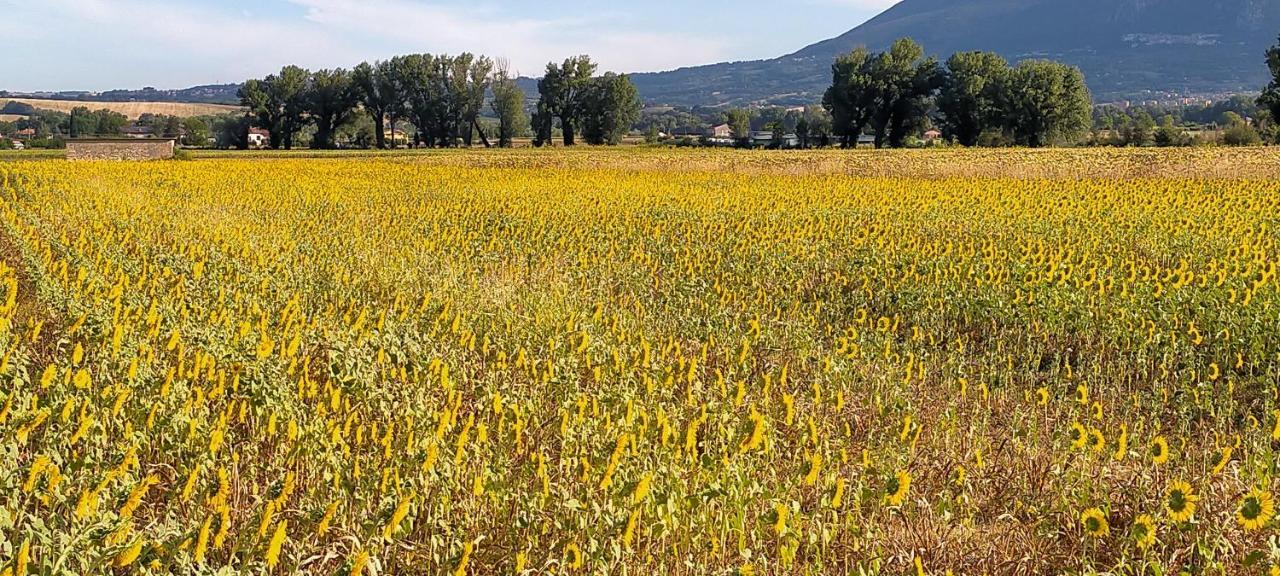 Agriturismo I Melograni Ferentillo Exteriér fotografie