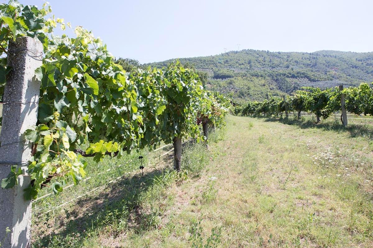 Agriturismo I Melograni Ferentillo Exteriér fotografie