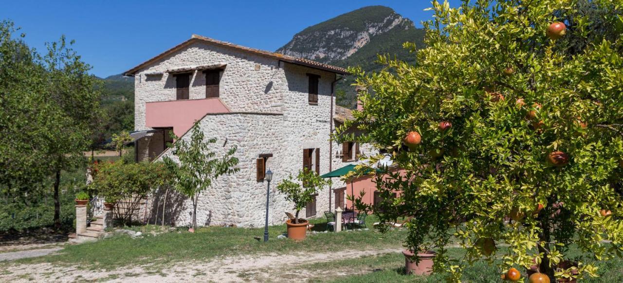 Agriturismo I Melograni Ferentillo Exteriér fotografie