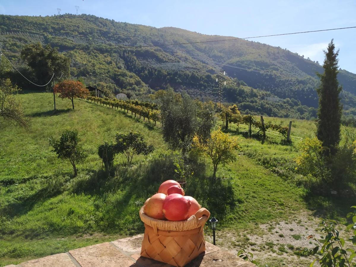 Agriturismo I Melograni Ferentillo Exteriér fotografie