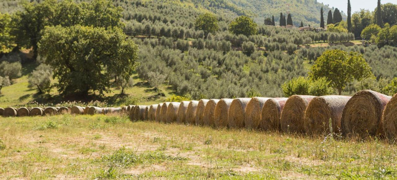Agriturismo I Melograni Ferentillo Exteriér fotografie