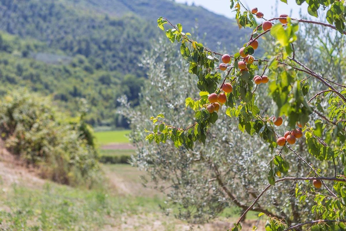 Agriturismo I Melograni Ferentillo Exteriér fotografie